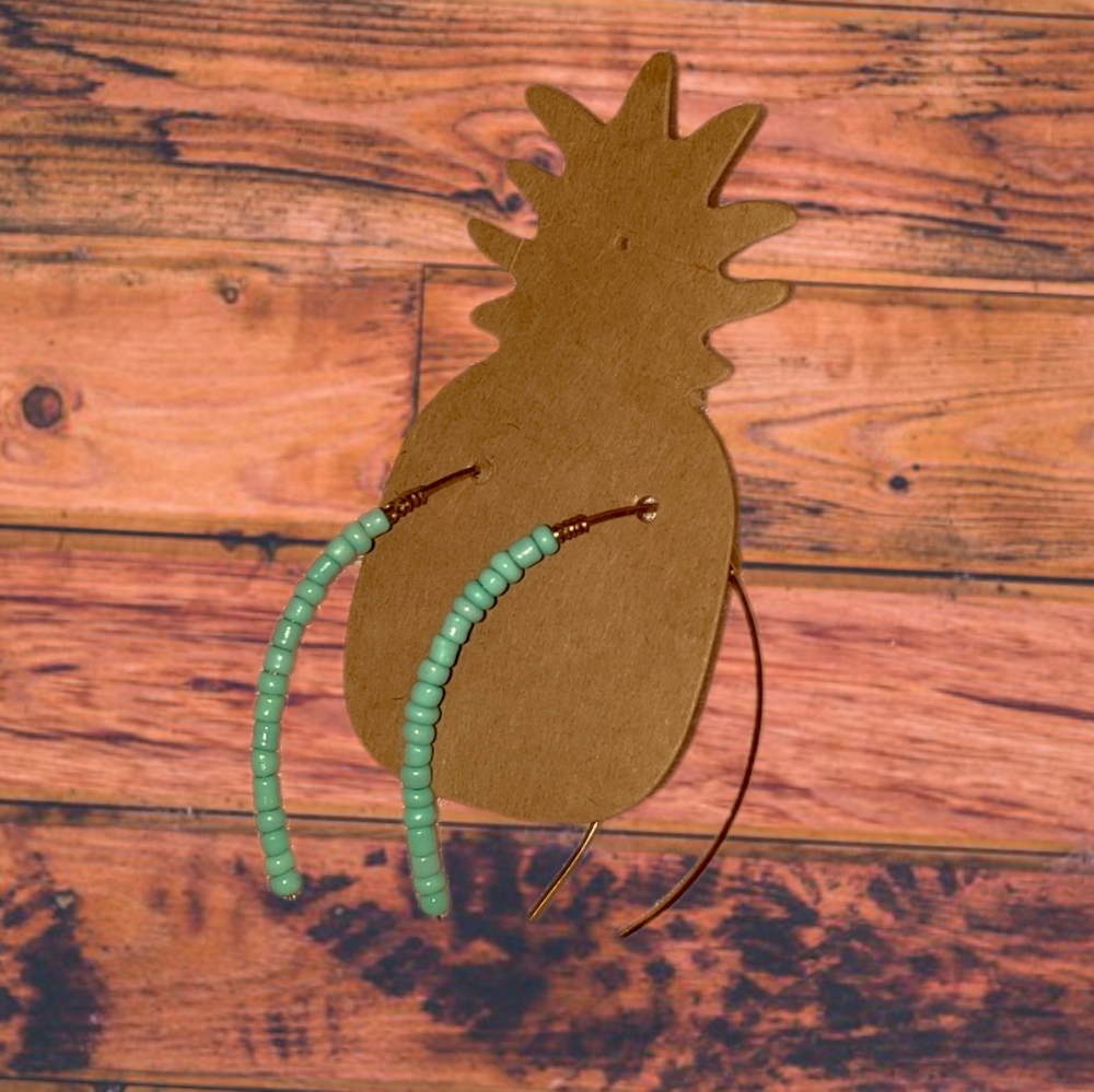 🤩 TEXAS MADE EARRINGS 🤩